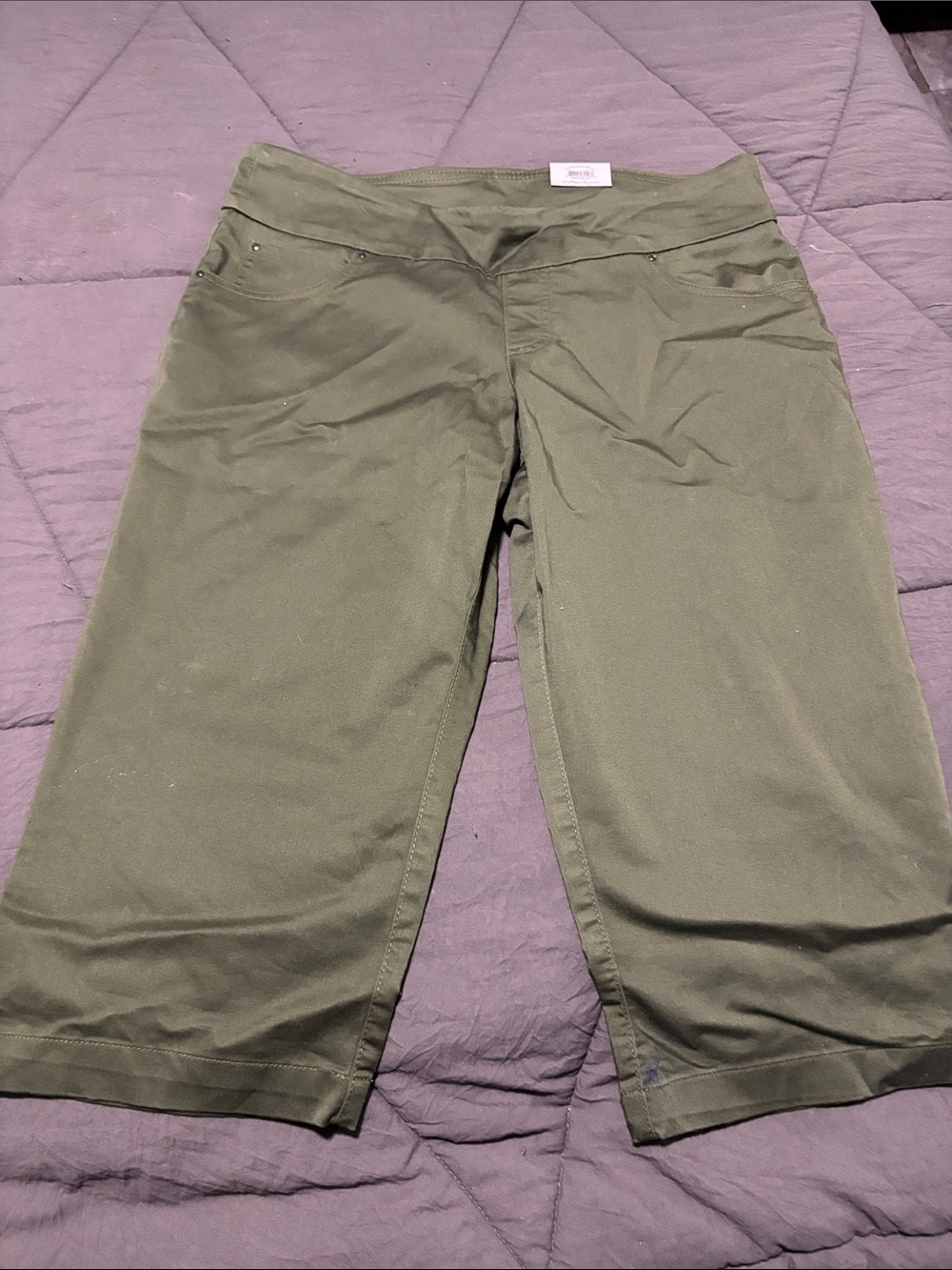 Time and Tru Olive Green Capri Pants